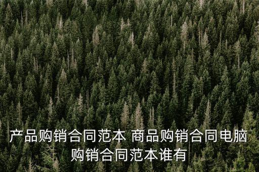 產(chǎn)品購銷合同范本 商品購銷合同電腦購銷合同范本誰有