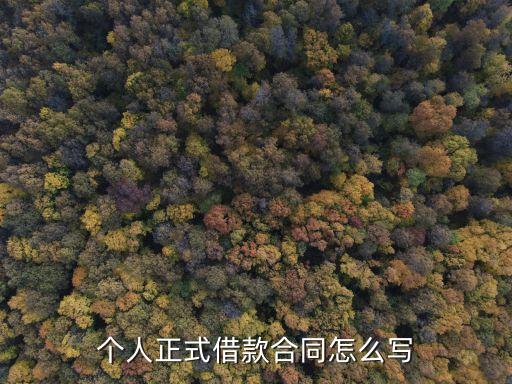 個(gè)人正式借款合同怎么寫