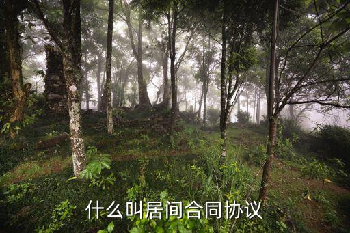 什么叫居間合同協(xié)議