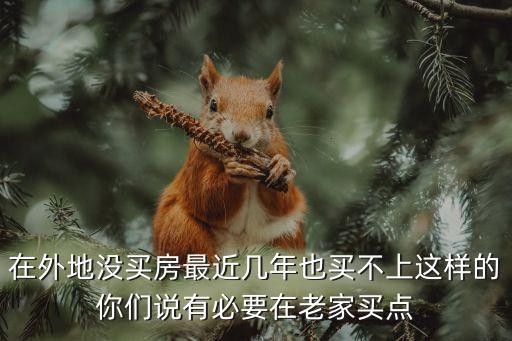 在外地沒買房最近幾年也買不上這樣的你們說有必要在老家買點(diǎn)