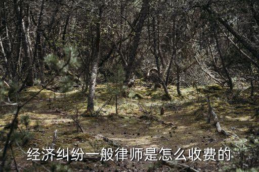 經濟糾紛一般律師是怎么收費的