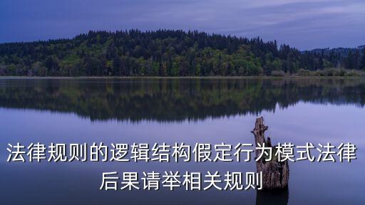法律規(guī)則三要素的例子，法律構成三要素