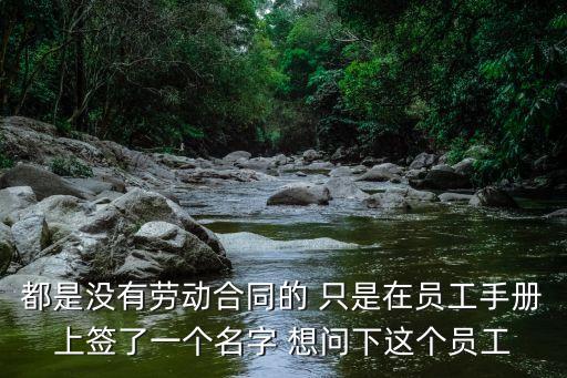 都是沒有勞動合同的 只是在員工手冊上簽了一個名字 想問下這個員工