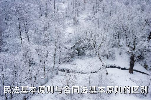 民法基本原則與合同法基本原則的區(qū)別