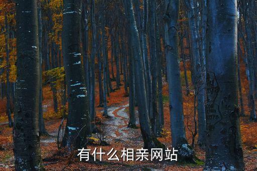 有什么相親網(wǎng)站
