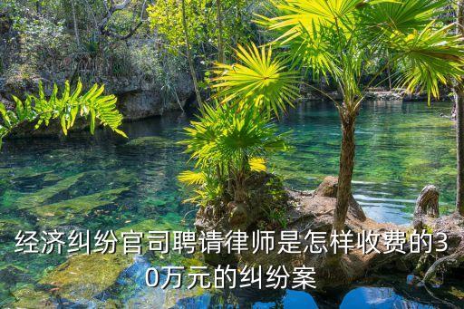 經(jīng)濟糾紛官司聘請律師是怎樣收費的30萬元的糾紛案