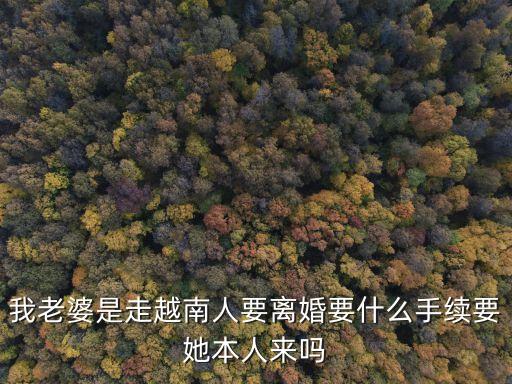 我老婆是走越南人要離婚要什么手續(xù)要她本人來(lái)嗎