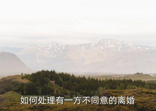 如何處理有一方不同意的離婚