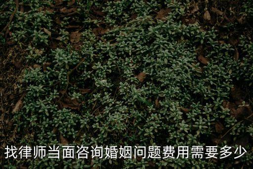 找律師當(dāng)面咨詢婚姻問題費(fèi)用需要多少