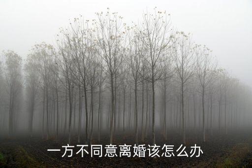一方不同意離婚該怎么辦