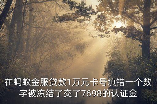 在螞蟻金服貸款1萬元卡號(hào)填錯(cuò)一個(gè)數(shù)字被凍結(jié)了交了7698的認(rèn)證金