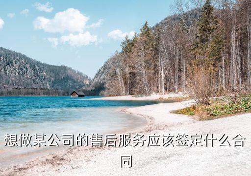 企業(yè)服務(wù)咨詢(xún)合同，想做某公司的售后服務(wù)應(yīng)該簽定什么合同