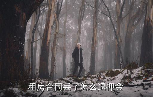合同丟了怎么起訴退房，退房找不到合同怎么辦