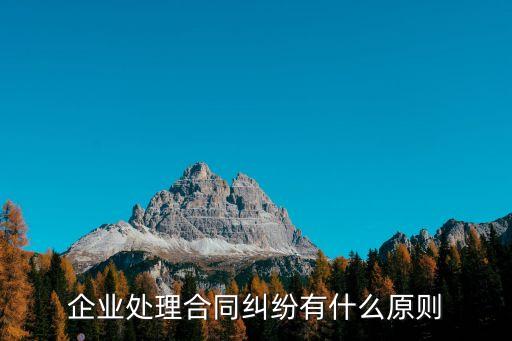 企業(yè)處理合同糾紛有什么原則