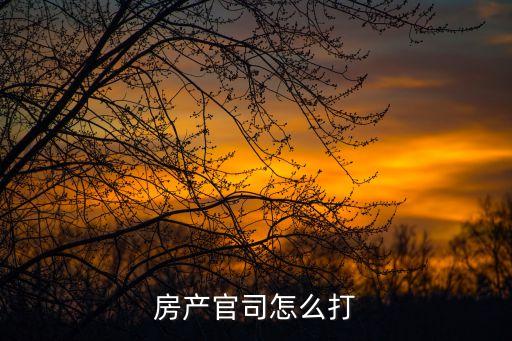 房產(chǎn)官司怎么打