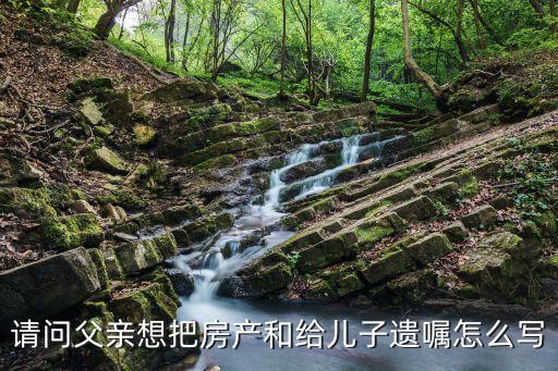 請問父親想把房產(chǎn)和給兒子遺囑怎么寫