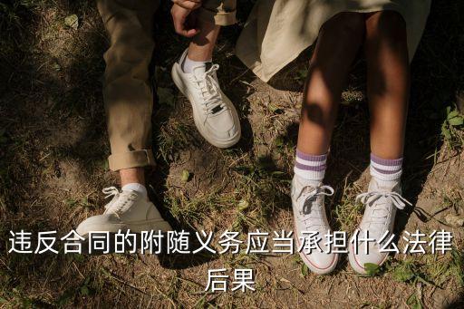 附隨義務(wù)的法律規(guī)定，附隨義務(wù)是法定的嗎