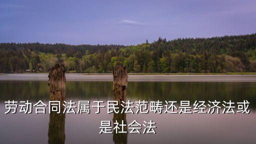 勞動合同法屬于民法范疇還是經(jīng)濟法或是社會法