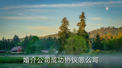 婚介公司成功協(xié)議怎么寫