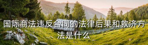國際商法違反合同的法律后果和救濟方法是什么