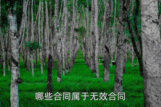 根據(jù)合同法下列屬于無效合同的有，哪些合同是無效合同