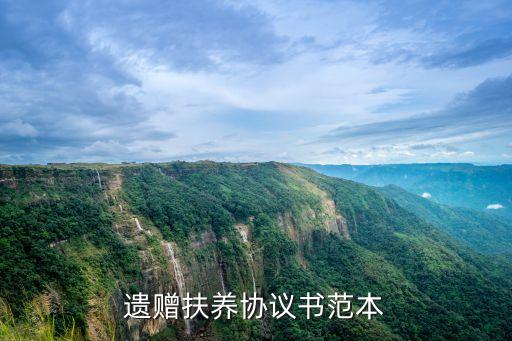 遺產(chǎn)贈(zèng)與協(xié)議書范本承諾人簽字，贈(zèng)與協(xié)議書范本怎么寫