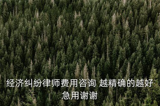上海經(jīng)濟(jì)糾紛律師，上海比較好的經(jīng)濟(jì)律師