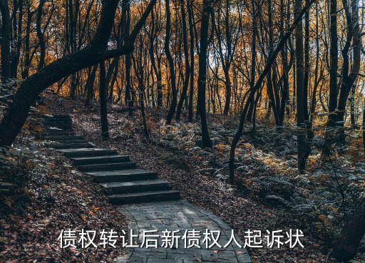 債權(quán)轉(zhuǎn)讓后新債權(quán)人起訴狀