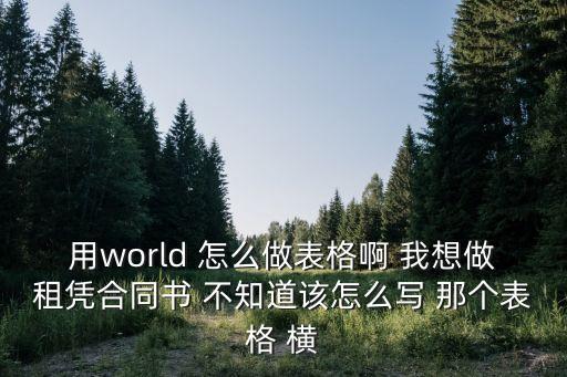 用world 怎么做表格啊 我想做租憑合同書 不知道該怎么寫 那個表格 橫