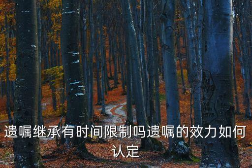遺囑繼承有時(shí)間限制嗎遺囑的效力如何認(rèn)定