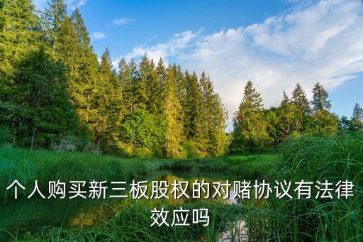 對(duì)賭協(xié)議法律效力，小說(shuō)里的對(duì)賭協(xié)議有沒(méi)有法律效益