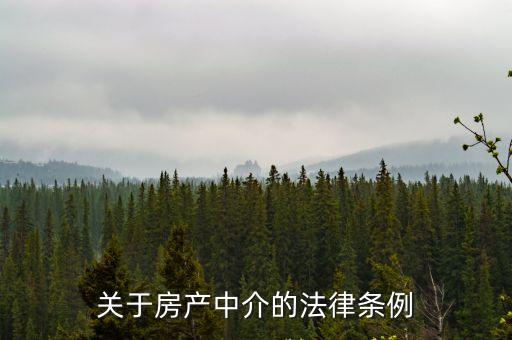 關(guān)于房產(chǎn)中介的法律條例