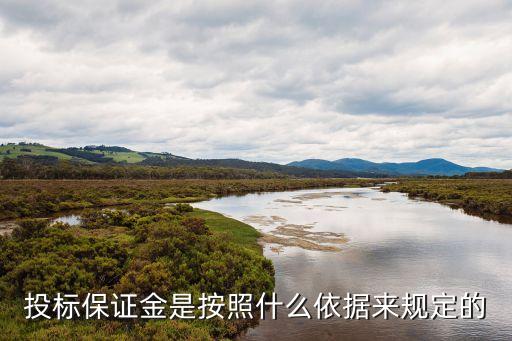投標(biāo)保證金是按照什么依據(jù)來規(guī)定的
