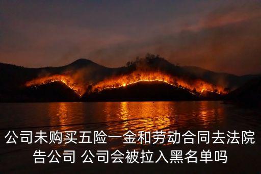 公司未購買五險一金和勞動合同去法院告公司 公司會被拉入黑名單嗎