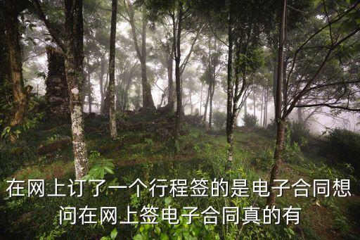 放心簽電子合同安全嗎，電子合同是否具有保障