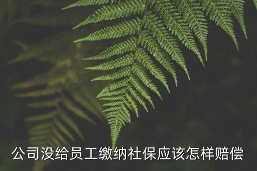 公司未給員工繳納社保怎么賠償，公司未交社保如何賠償
