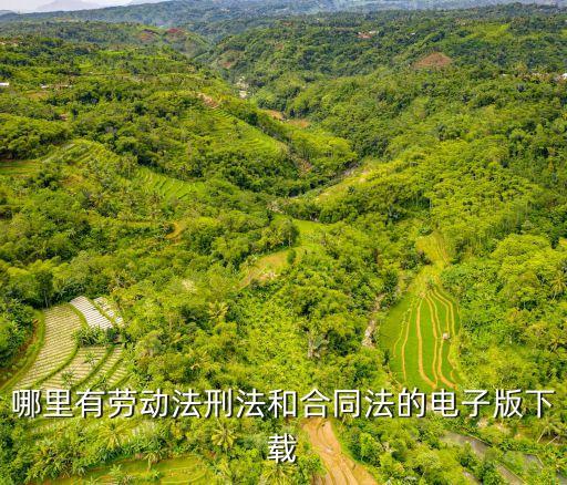 哪里有勞動法刑法和合同法的電子版下載