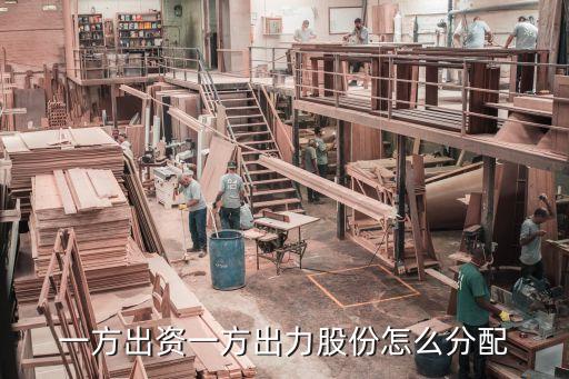 一方出資一方出力股份怎么分配
