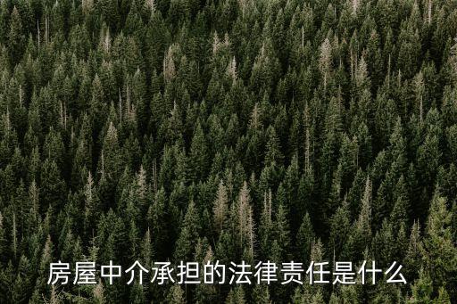 房屋中介承擔的法律責任是什么
