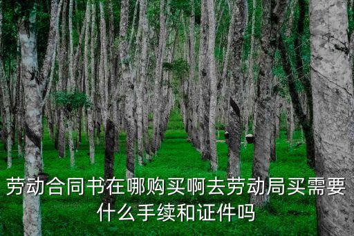 勞動(dòng)合同要去哪里買，勞動(dòng)合同書哪里有賣