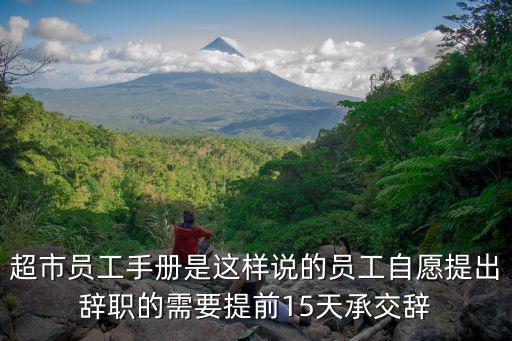 員工手冊 法律效力，勞動者找人代簽公司員工手冊的是否有法律效力