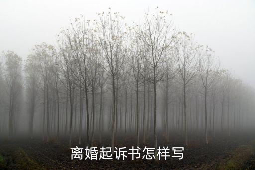 離婚起訴書怎樣寫