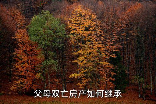父母雙亡房產(chǎn)如何繼承