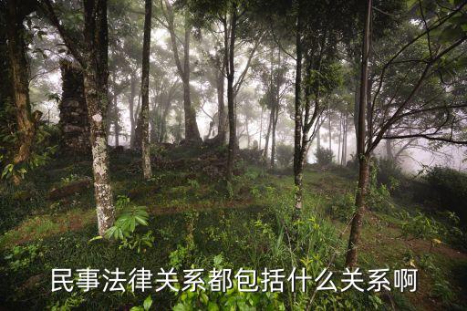 民事法律關(guān)系有多少種，在該案中涉及哪些民事法律關(guān)系為什么