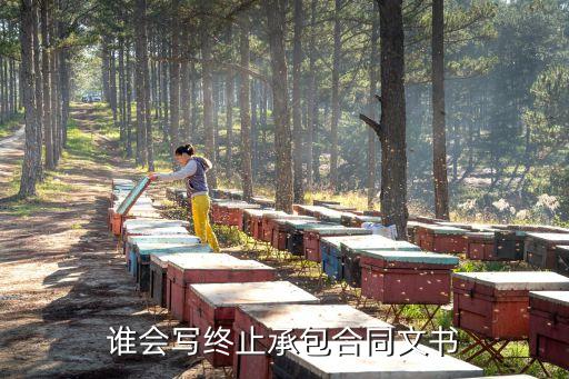誰會(huì)寫終止承包合同文書