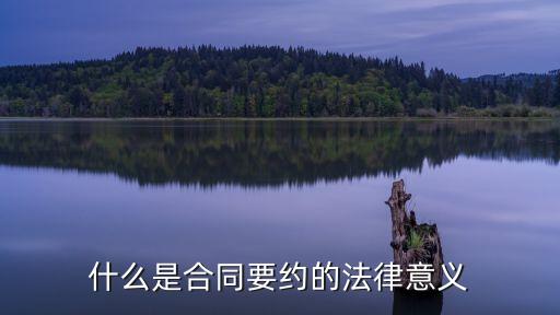 什么是合同要約的法律意義