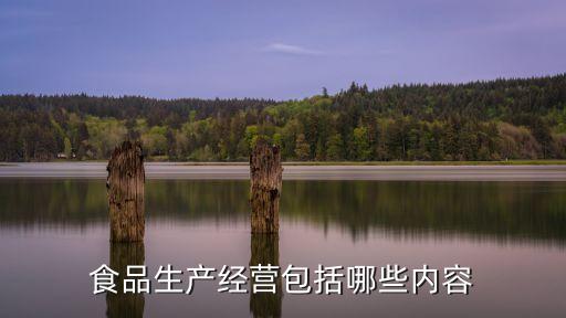 食品生產(chǎn)經(jīng)營包括哪些內(nèi)容