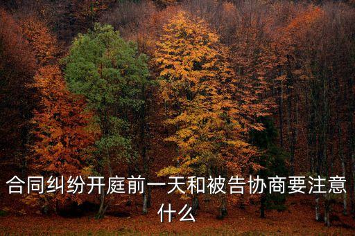 合同糾紛開(kāi)庭前一天和被告協(xié)商要注意什么