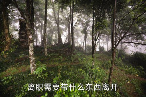 離職需要帶什么東西離開