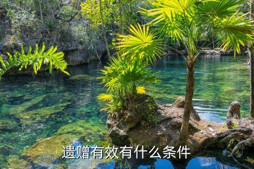 遺贈(zèng)有效有什么條件